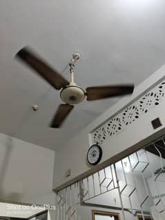 ceiling fan 220 volt full coper winding old is gold 0311/27/09/647