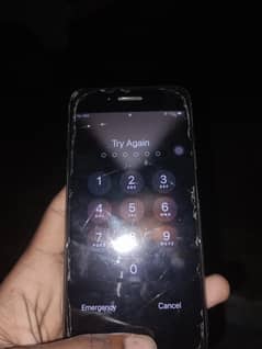 iphone 7 plus