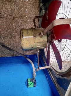 Air cooler