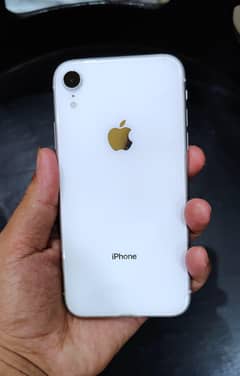 jis bhai ko iPhone XR chahiye is number per rahata Karen 03337584634