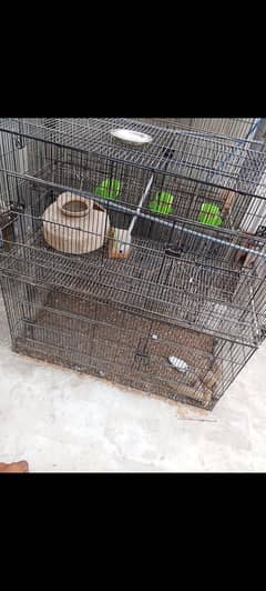 master cage