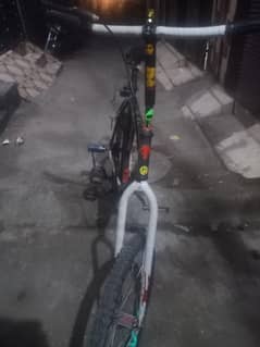 willer cycle