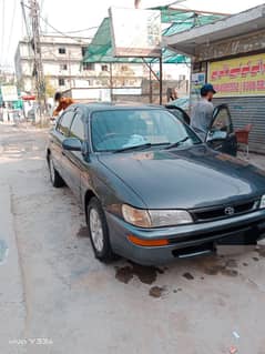 corolla