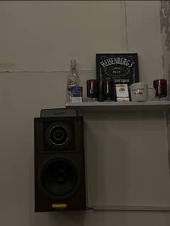 Panasonic 160w speakers