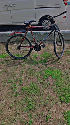 cycle phoenix