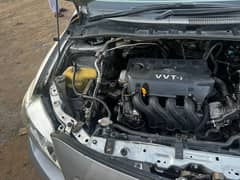 Toyota Corolla GLI 2009