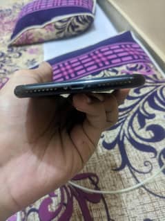 7plus pta approved