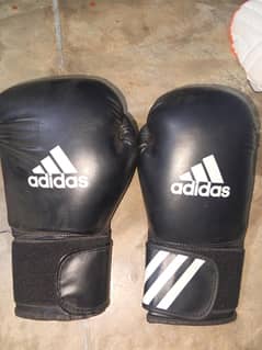 boxing & MMA kit