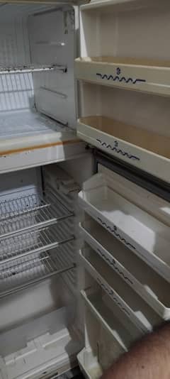fridge h