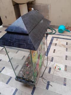 aquarium
