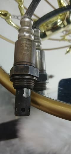 Vitz oxygen sensor