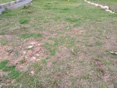 Plots