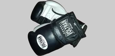 extra ordinary boxing gloves