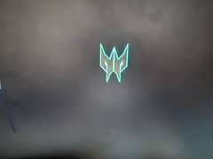 Acer