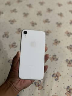 iPhone XR waterpack