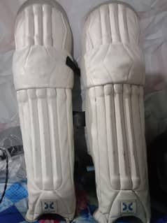 Batting pads and a Bat