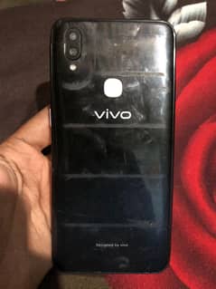 Vivo