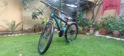 sports bicycle