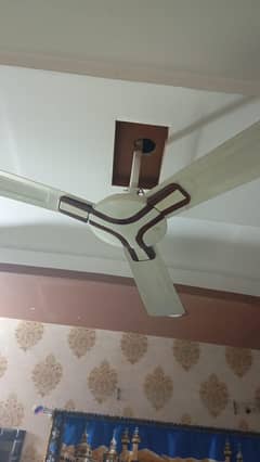 ceiling