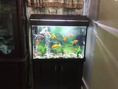 fish aquarium for urgent sale