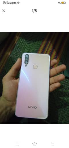 Vivo