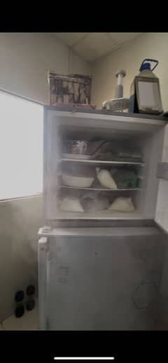 Fridge for sale