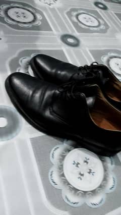 Aldo