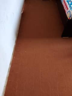 carpet