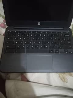HP