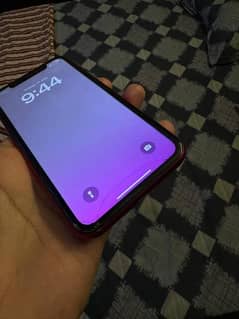 iphone 11 dual pta approved