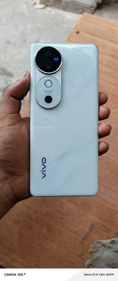 vivo v40 12-256