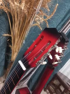 Guitar with bag