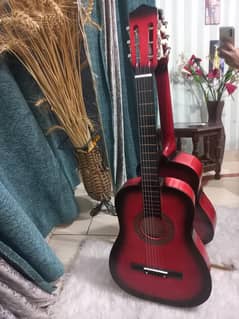 Guitar with bag