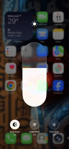 13pro max pannel