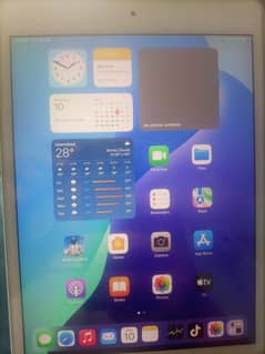 ipad mini 5