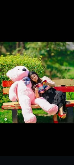 Branded gift toy & stuff toy teddy bear available i