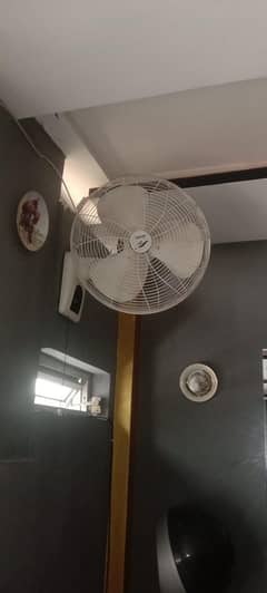 Fans