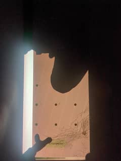 panel damag
