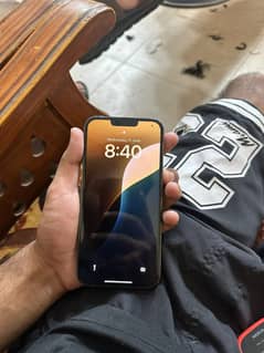 Iphone 13 pro max pta approved