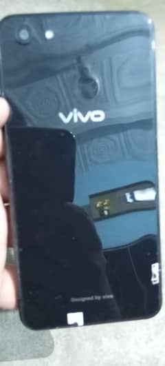 vivo