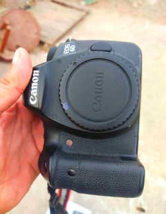 cano 6d body