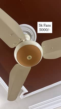 Ceiling fans