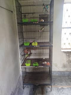 Cage Parrot Sale Cage Size 1/5 by 1/5 by 2/5