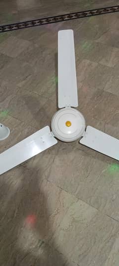 ceeling fan