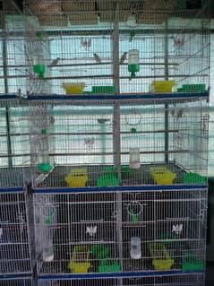 Cage