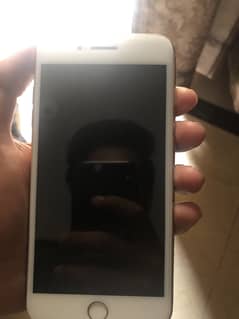 8 plus pta approved