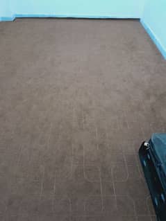 Carpets for sale
