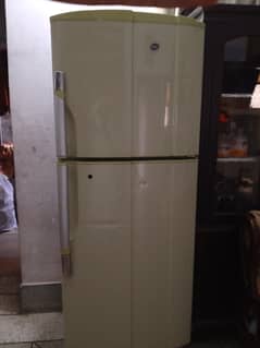 PEL FRIDGE large size