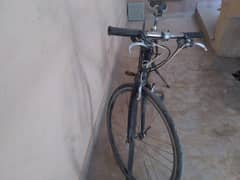 giant bicycle