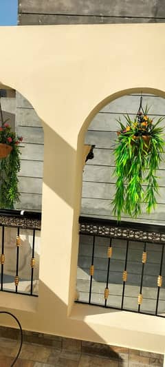 A Palatial Residence Lower Portion For Rent In Gulberg 3 Lahore